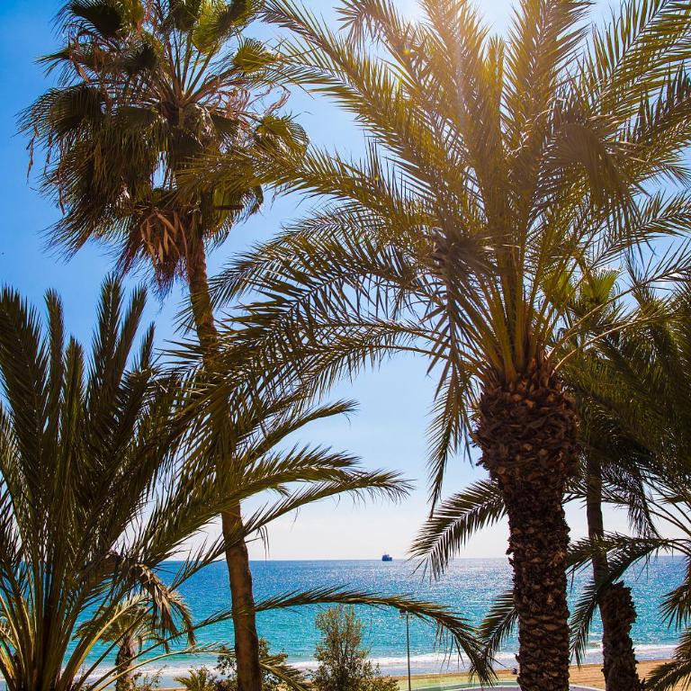 Apartment near the beach - Three-Bedroom Apartment - 35