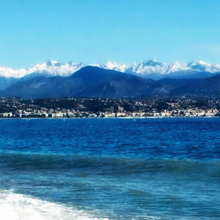 Artistic Antibes Apartment - Appartement 1 Chambre - 47