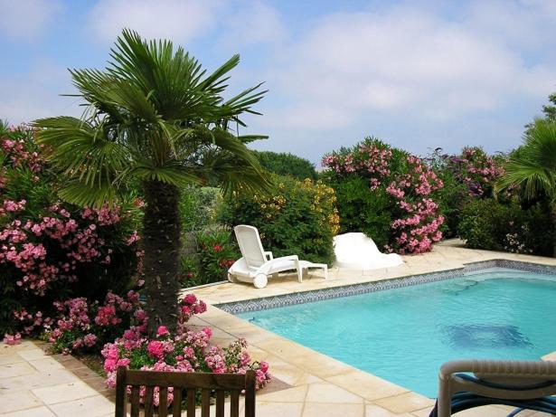 Villa avec piscine - Villa 2 Chambres - 1