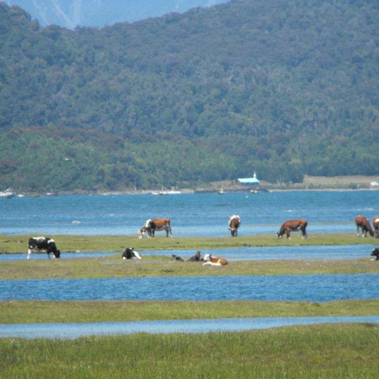 CABAÑA HUALAIHUE AUSTRAL - Vacation Home - 17