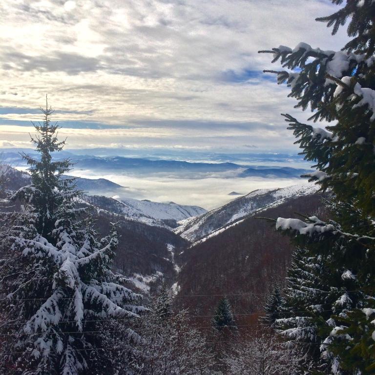 Holiday Home Dana Kopaonik - Two-Bedroom House - 21