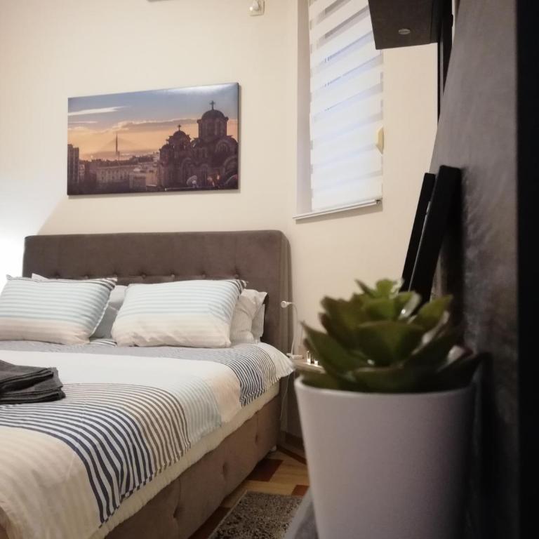 Dakota - Apartman - 13