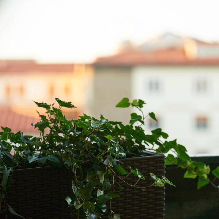 Belfiore Magé Apartment - Appartamento - 27