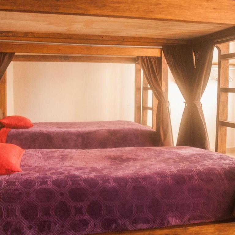 Casa Tequio - Bed in 6-Bed Mixed Dormitory Room - 7