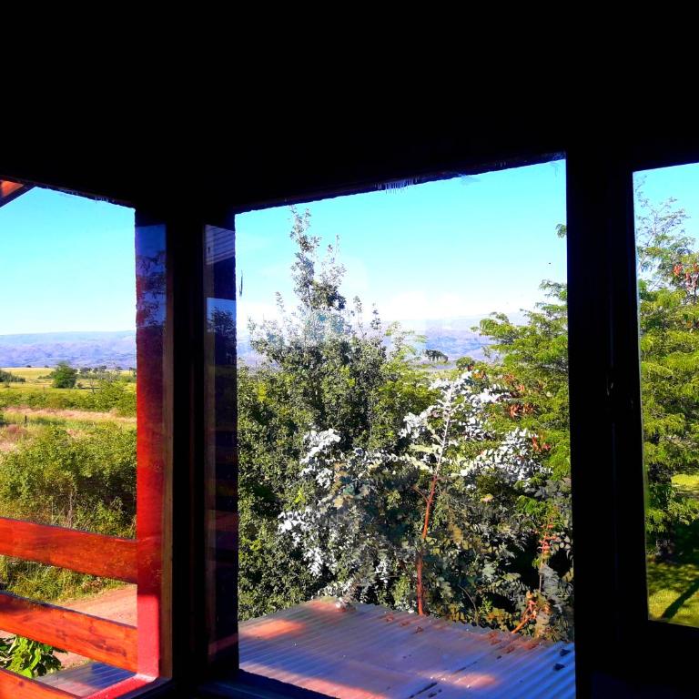 Puesto Potrillos - Casa - 3
