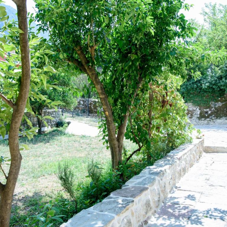 Stone House 264 Beachfront Villa with Private Beach - Villa - 49