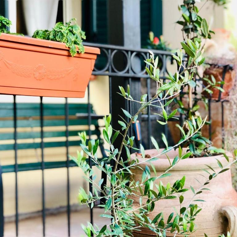 MAMARICO' APARTAMENT - One-Bedroom Apartment - 9