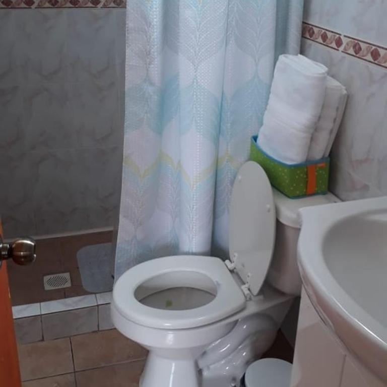 Cabañas y Habitaciones privadas Valdivia - One-Bedroom Apartment - 10
