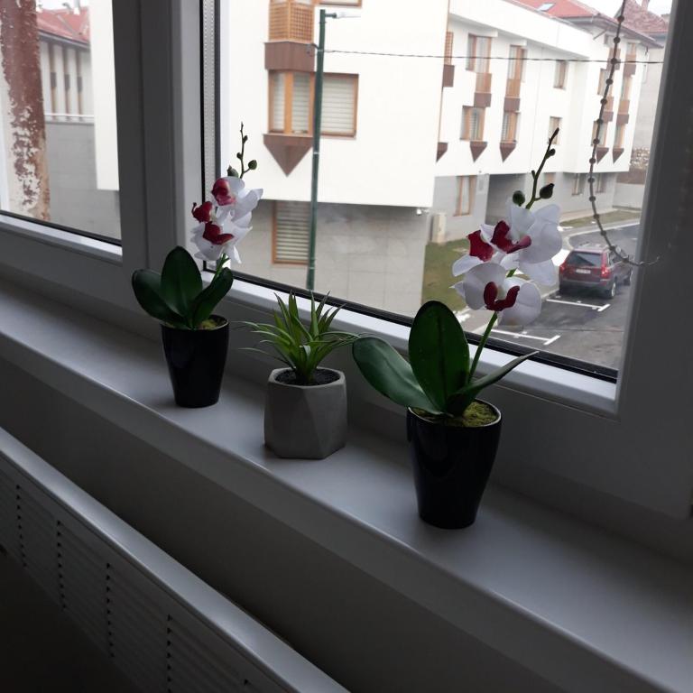 Lovley home - One-Bedroom Apartment - 13