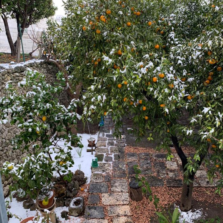 Dimora Le Zagare - Appartamento - 23