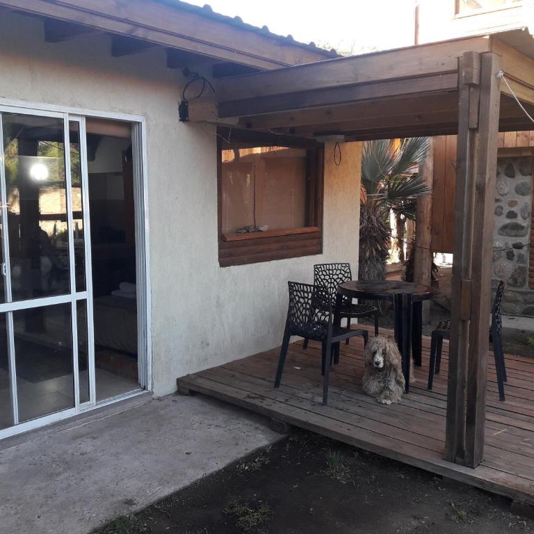 Altos del Molle SF - Apartamento - 2