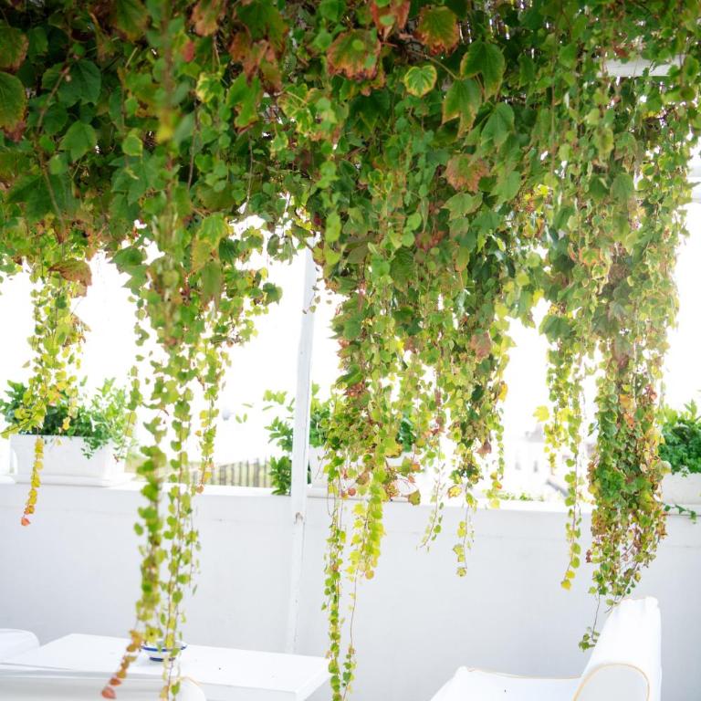 Villa Yiara - Appartamento con Terrazza e Vista Mare - 15