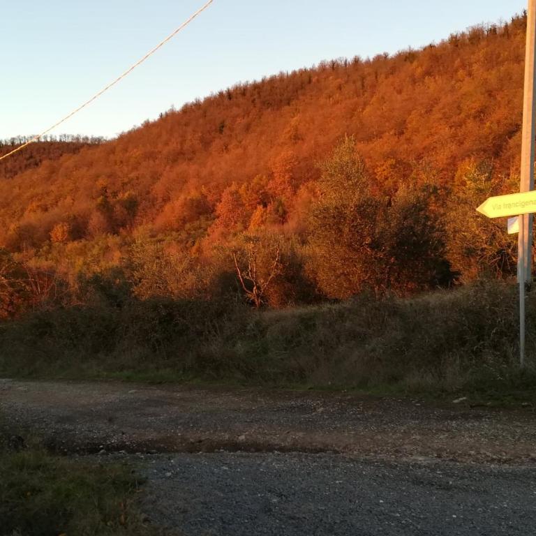 Alloggio turistico La nuova Velzna - Appartamento - 31