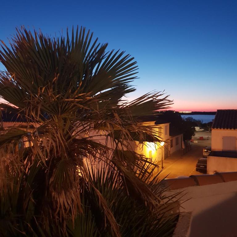 Hotel Les Palmiers En Camargue - Chambre Double Confort avec Terrasse ou Balcon – Vue Partielle sur Mer - 7