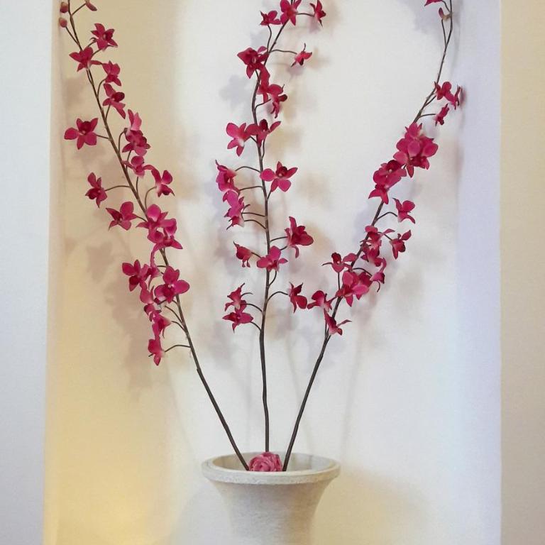 CACERES SOL - Apartamento - 5
