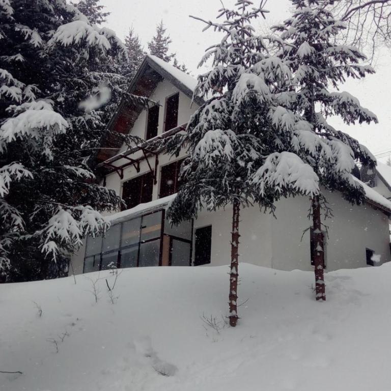 Sky - Apartment - Ground Floor - 13