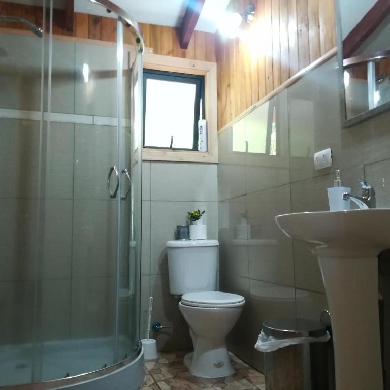 Cabañas Aliwen Panguipulli - Casa de 3 dormitorios - 13