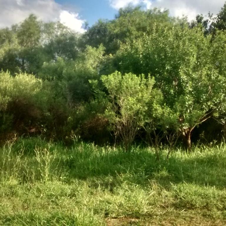 Casita Los Retoños en San Marcos Sierras - Apartamento Estándar - 20