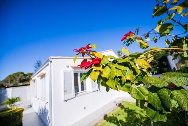 Total White Villa - Villa - 9