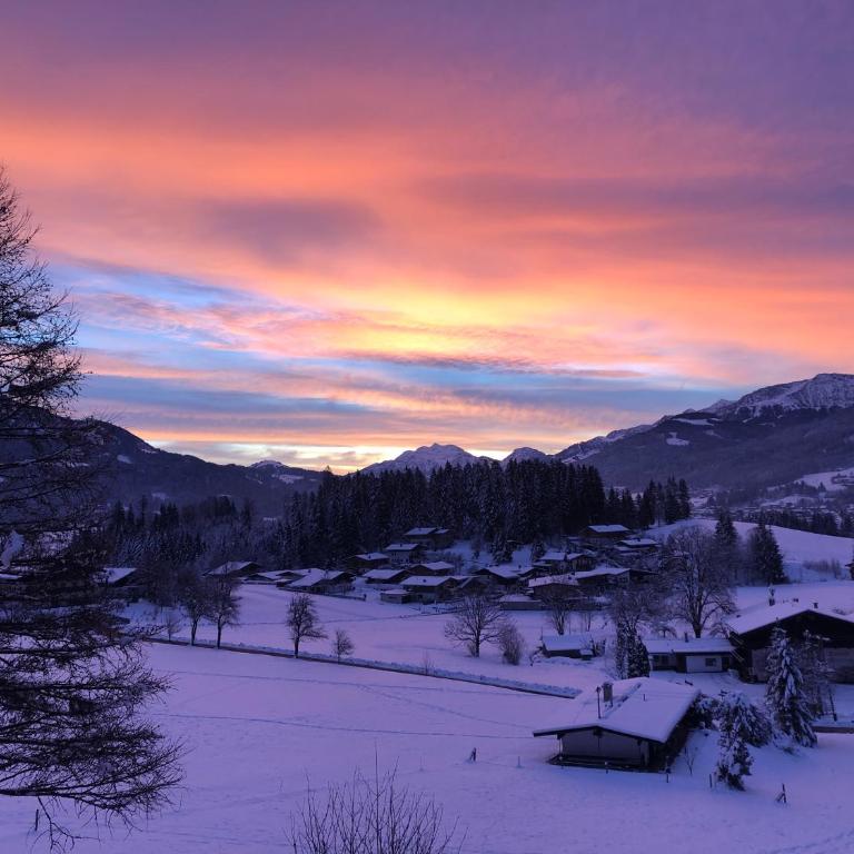 Berghof Haselsberger Appartements - Apartamento con vistas a las montañas - 29