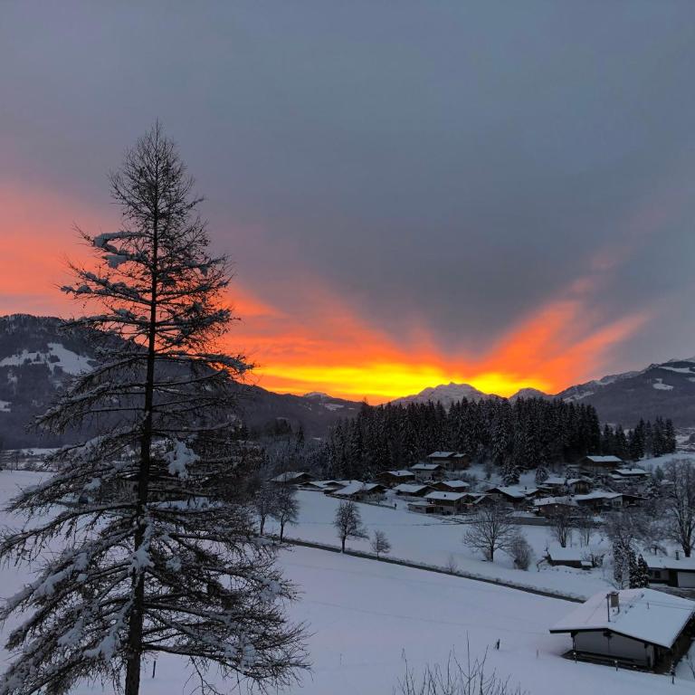 Berghof Haselsberger Appartements - Apartamento con vistas a las montañas - 23