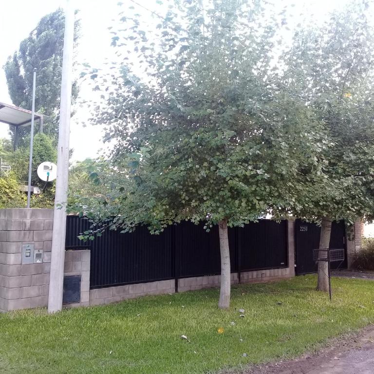 Posta Batata - Apartamento de 1 dormitorio - 4