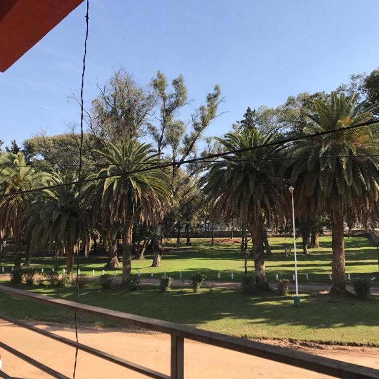 Departamento Leben - Apartamento de 1 dormitorio - 17