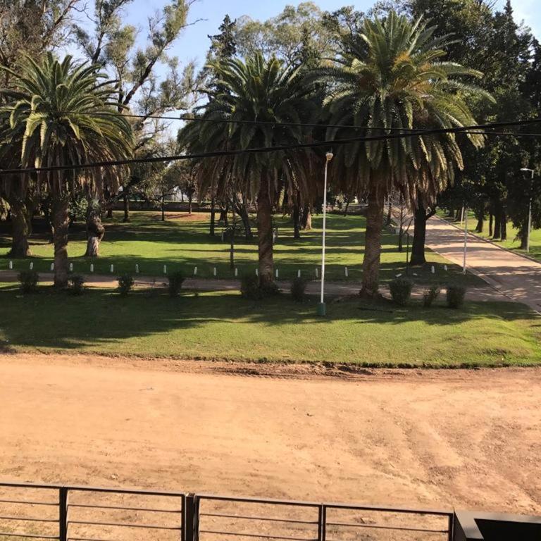 Departamento Leben - Apartamento de 1 dormitorio - 18