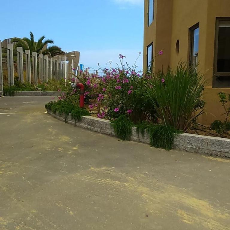 Condominio Arena Maris - Apartamento de 2 dormitorios - 55