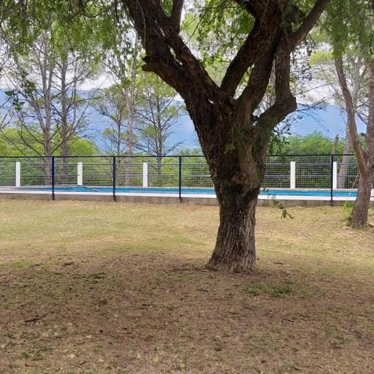 La Alegria - Chalet - 13