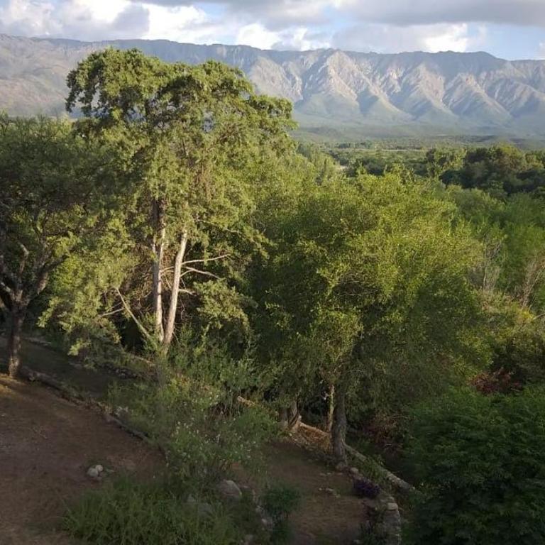 La Alegria - Chalet - 11