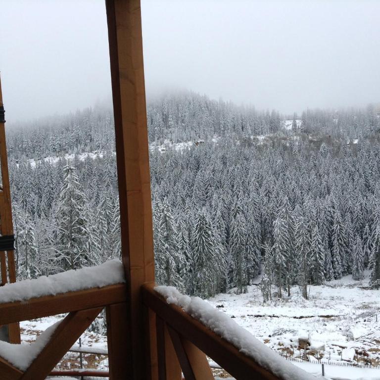 Apartments B229 & B230 in Aparthotel Vucko, Jahorina -private host - Apartment with Partial Mountain View (B229) - 14