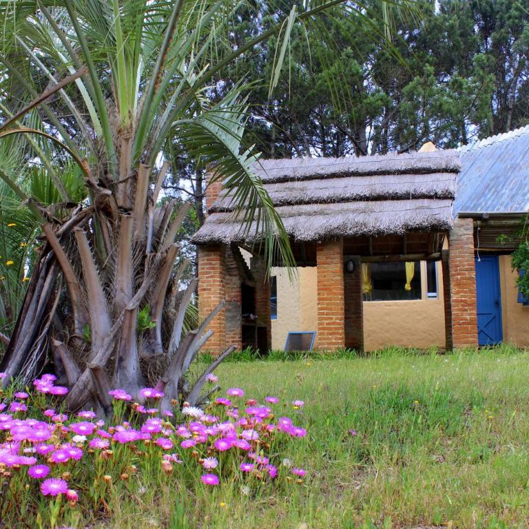 Chalets del Bosque - Chalet de 2 dormitorios - 6