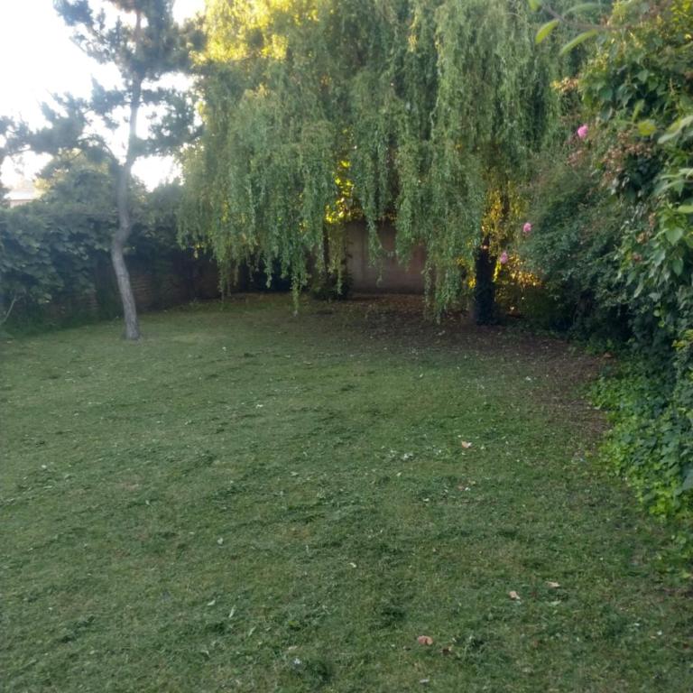 De la Maza 3657 - Casa de 2 dormitorios - 11