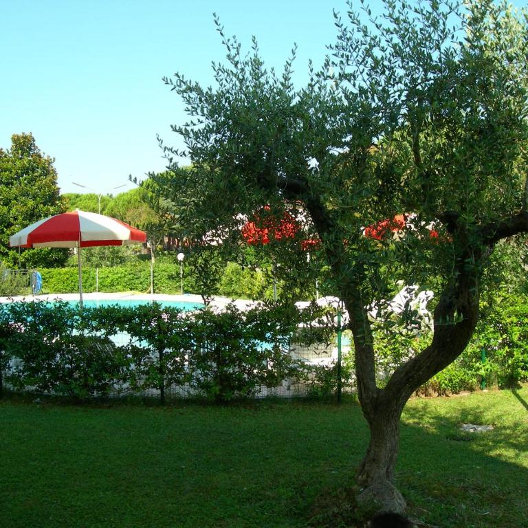 Villaggio Borgo dell'Ulivo - Appartamento con 1 Camera da Letto (5 Adulti) - 3