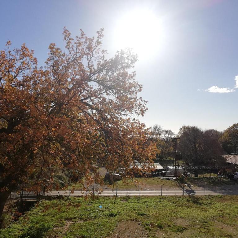 Apart Forte Roses Montenegro KO Buljarica - One-Bedroom Apartment - 1