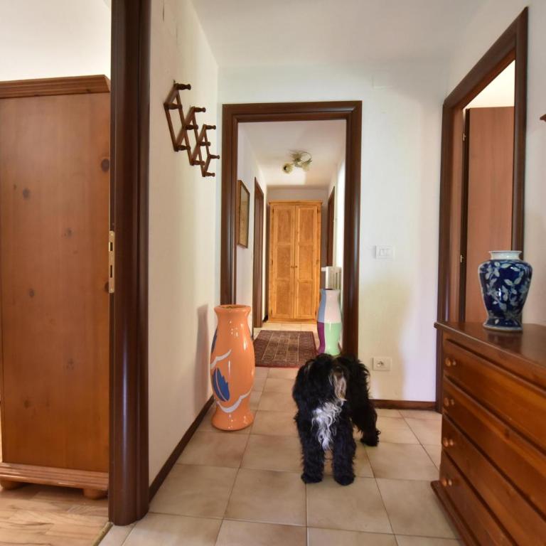 Residence Castelli - Appartamento Monolocale - 1