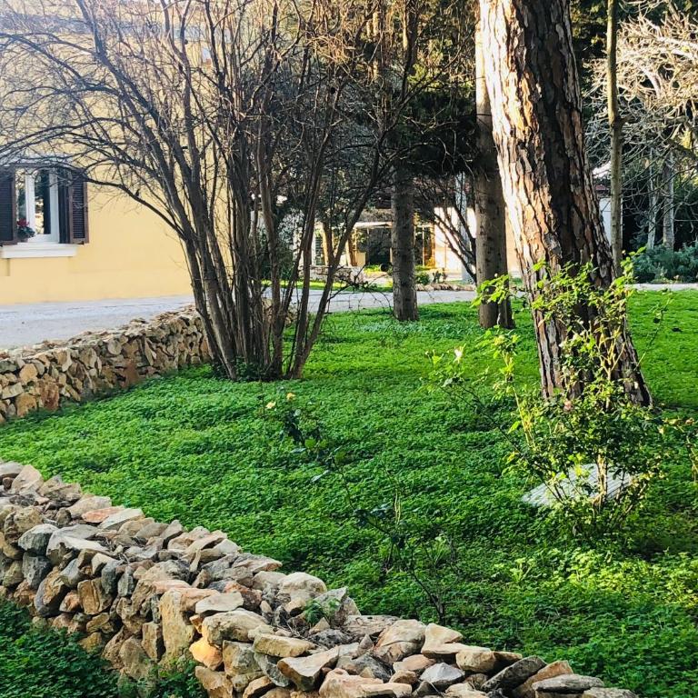 Villa in Salento - Appartamento con 1 Camera da Letto - 6