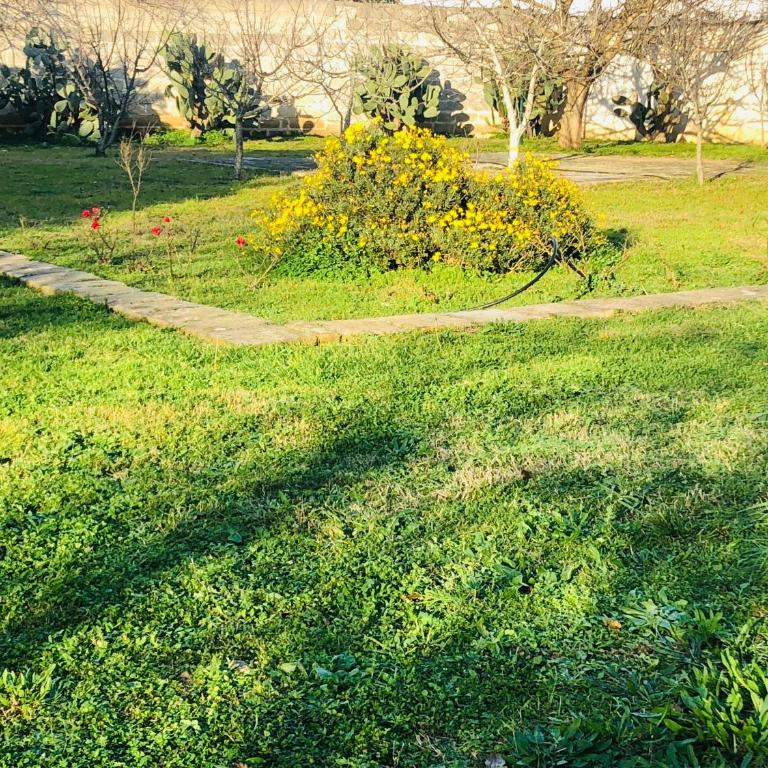 Villa in Salento - Appartamento con 1 Camera da Letto - 5