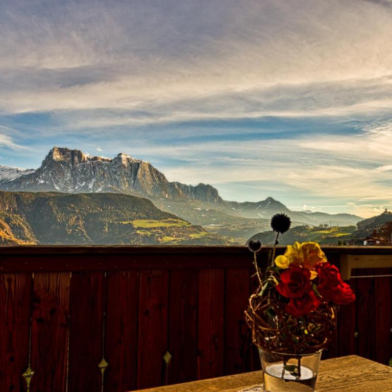 Gasserhof - Apartamento con vistas a las montañas - 5