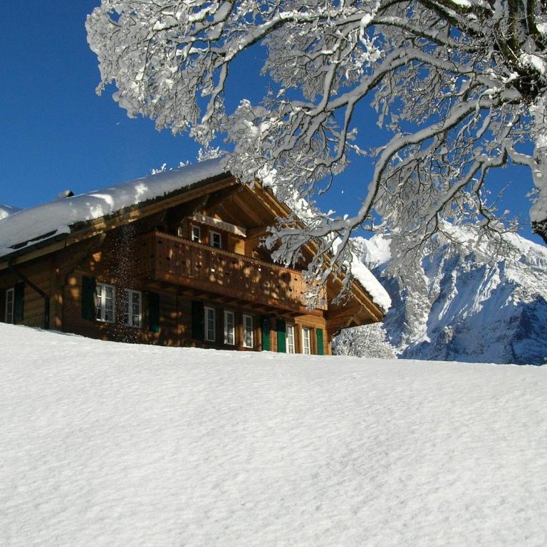 Chalet Herrschaft - Apartment mit 2 Schlafzimmern - 60