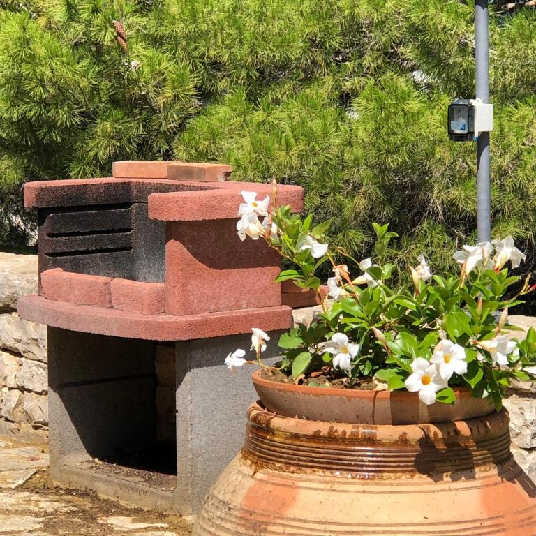 Villa Mariza - Villa - 2