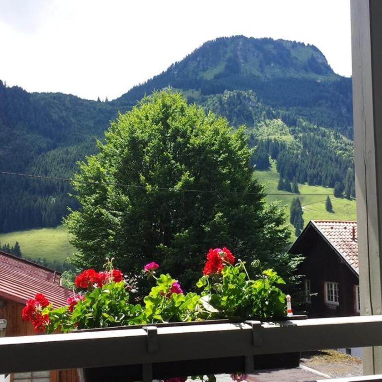 Ferienwohnung Bergblick - Allgäublick - Apartment mit 1 Schlafzimmer - 28