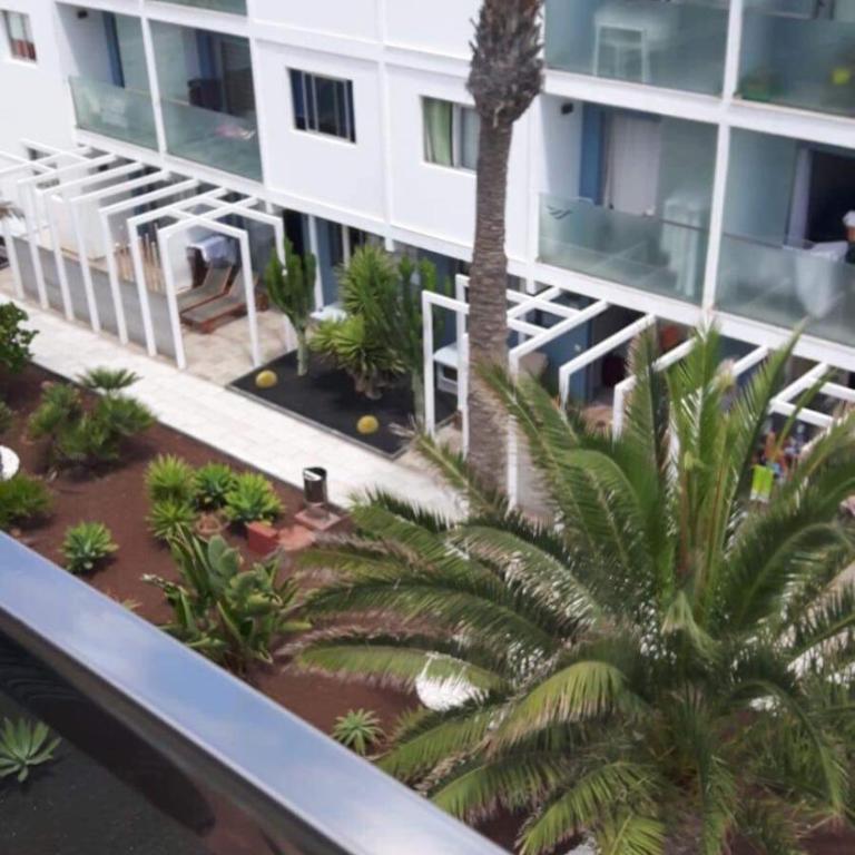 Exclusive Vista Bristol - Apartamento - 17