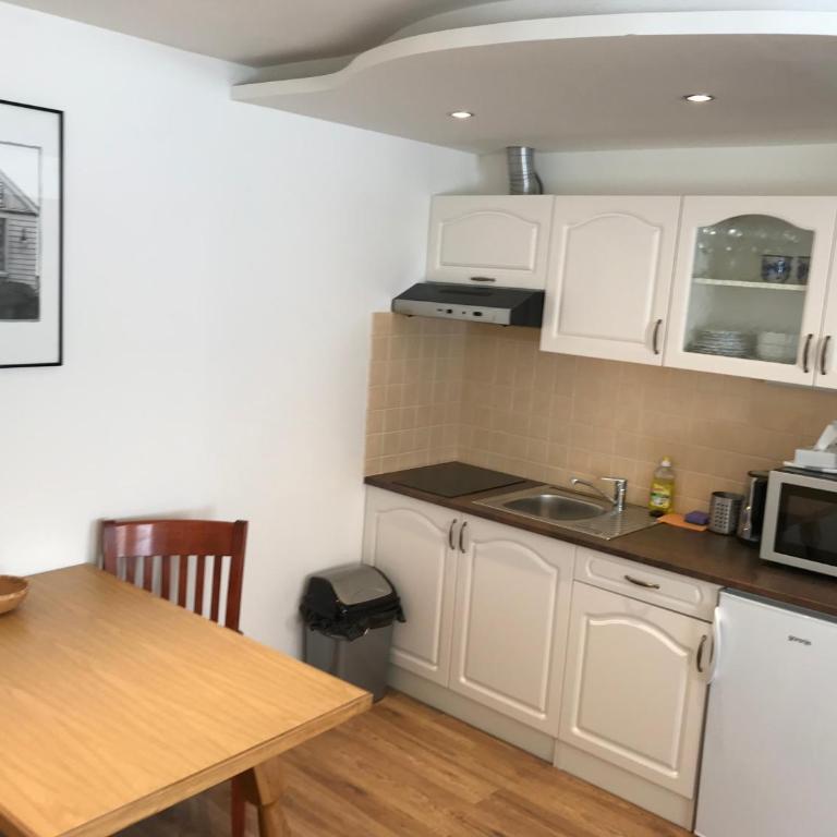 Tuxie Haus - Studio with Extra Bed - 3