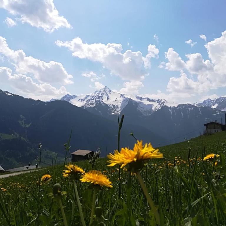 Alpenchalet Zillertal - Apartment mit 2 Schlafzimmern und Terrasse - 28