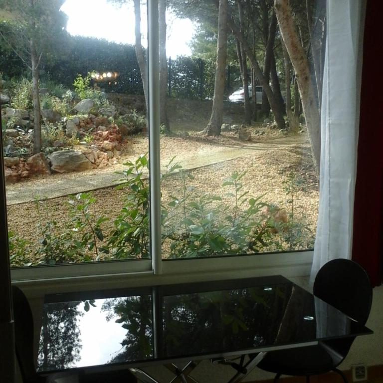 Les Oliviers - Appartement - Rez-de-Chaussée - 7