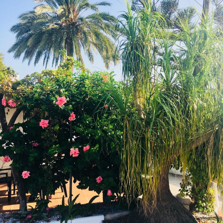 El Cortijo de Miguel - Villa con piscina privada - 24