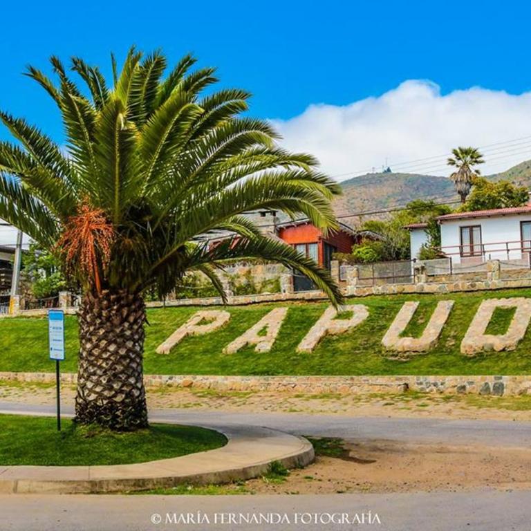 Haydeé Lomas de Papudo IV - Two-Bedroom Apartment - 21