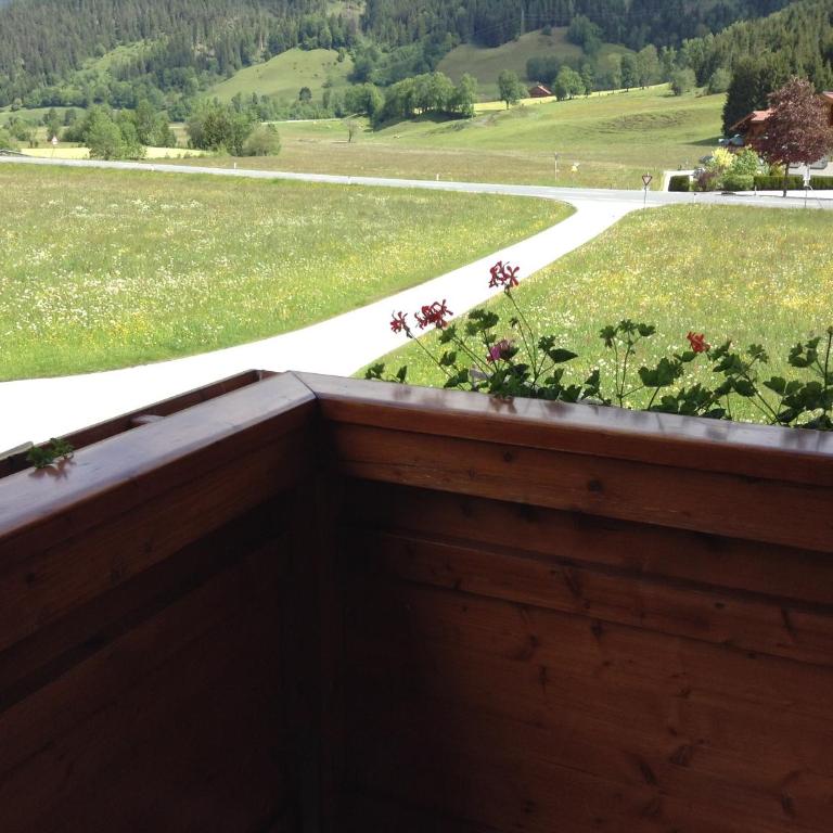 Haus Buchsteiner - Apartamento de 1 dormitorio con balcón - 15